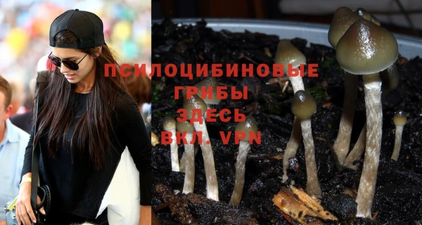 бутират Белоозёрский
