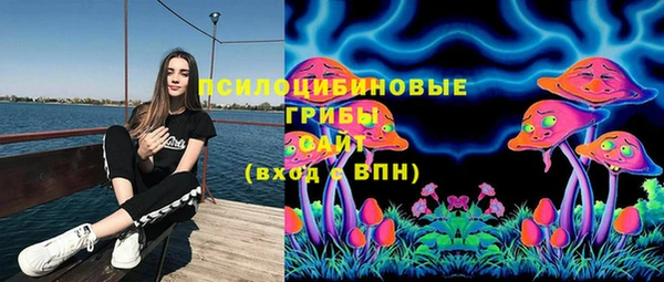 скорость Богданович