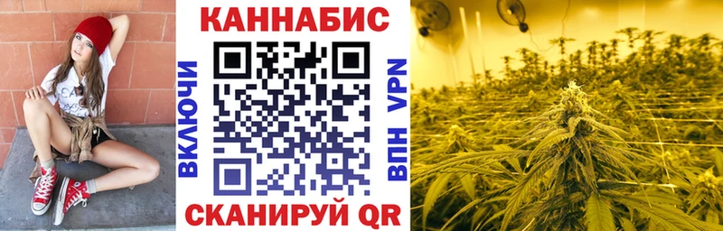 Канабис OG Kush  Вяземский 